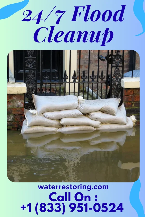 24/7 Flood Cleanup in Hankinson, ND