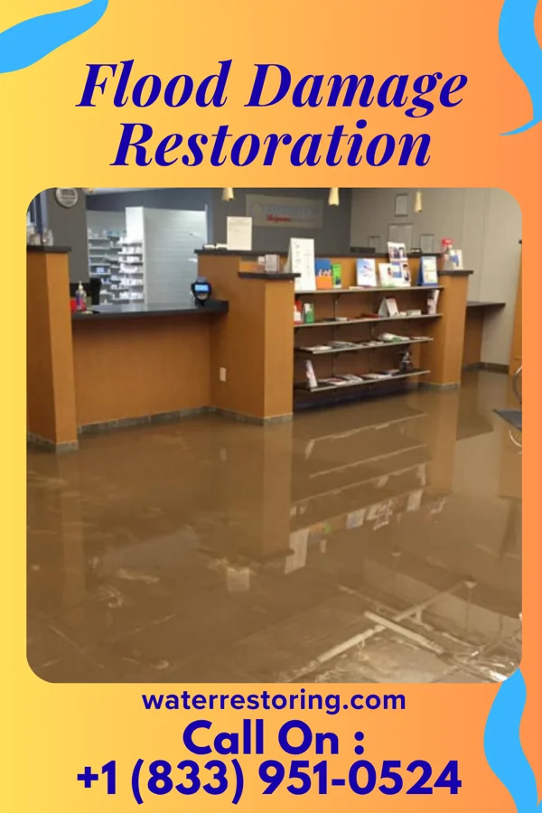 Flood Damage Restoration in Hankinson, ND