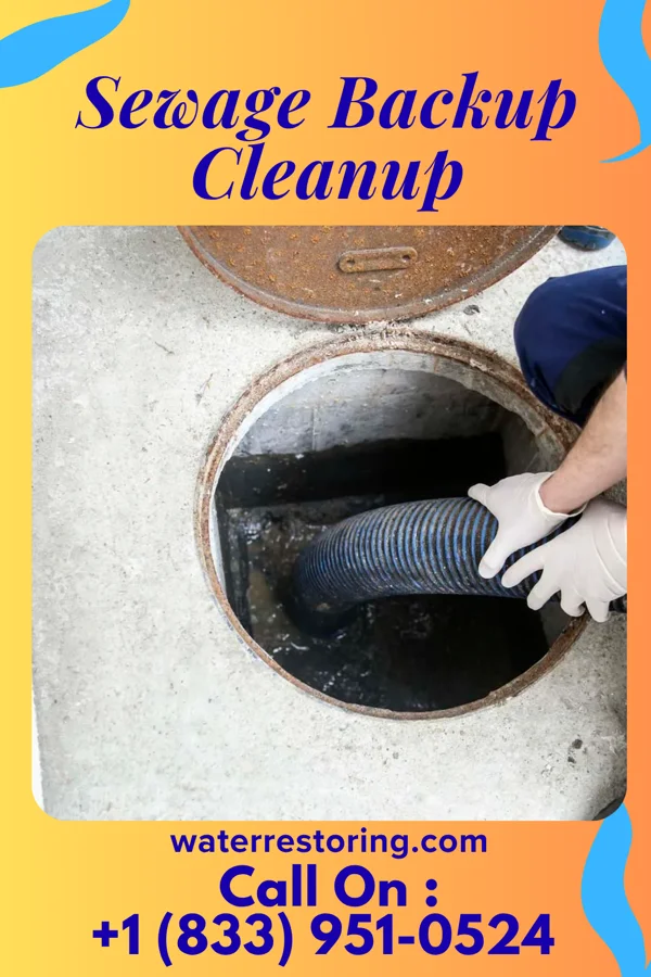 Sewage Backup Cleanup in Hankinson, ND